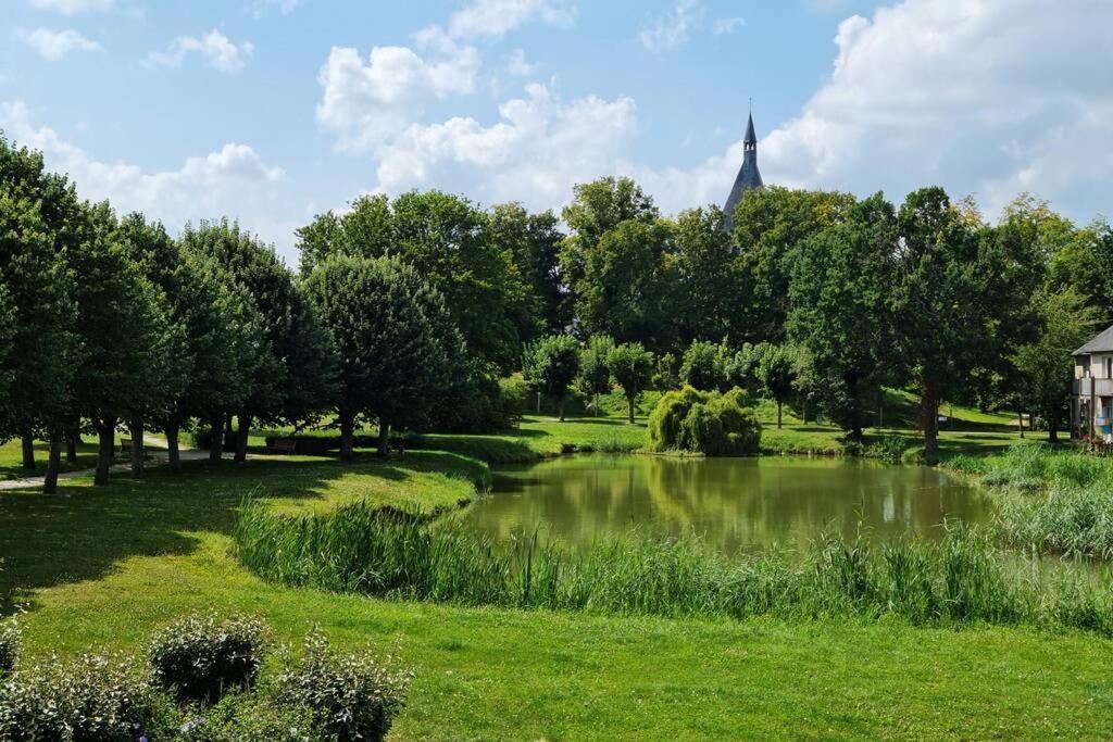 Maison Centre De Bellegarde Avec Jardin Et Terrasse Equipee D'Un Salon De Jardin Et D'Un Barbecue Cuisine Equipee 3 Chambres Avec 2 Lits Double 140X190 Et 2 Lits Simple Chauffage Poele A Granules Parking Gratuit Devant La Maison Bellegarde-du-Loiret Eksteriør billede